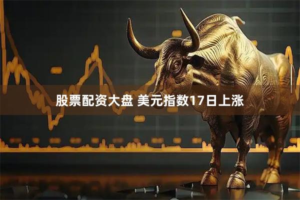 股票配资大盘 美元指数17日上涨
